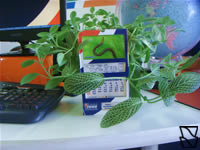 Calend&aacute;rio da Minhoca