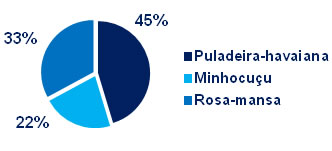 gráfico Qual é a minhoca mais encontrada nos solos brasileiros? -- A puladeira, o minhocuçu ou a rosa-mansa?