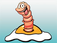 Por que a minhoca ovo-frito tem este nome?